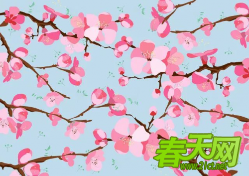 春季6种开粉色花的树