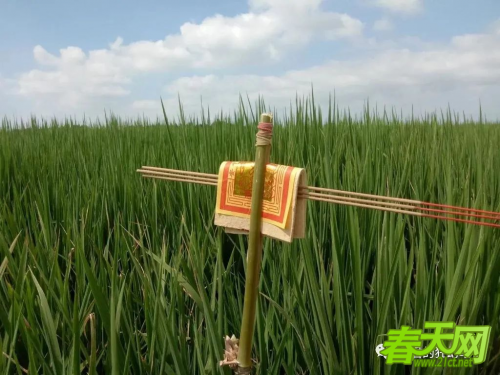 台湾的端午节神秘习俗：土地公的拐杖